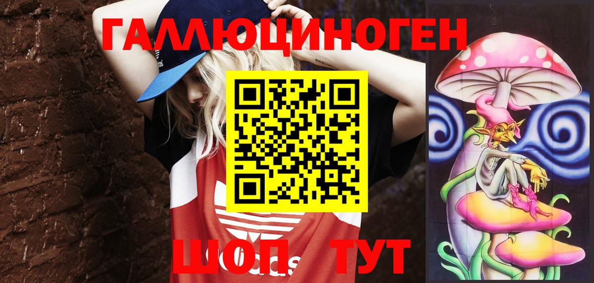 Галлюциногенные грибы Psilocybe Владикавказ